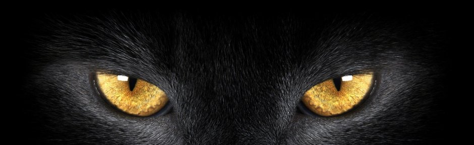 Картинки на черном фоне