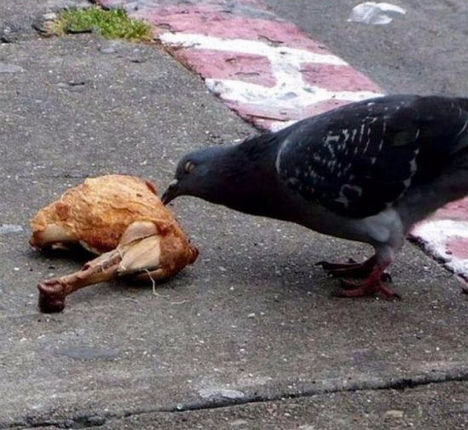 Banksy художник dove