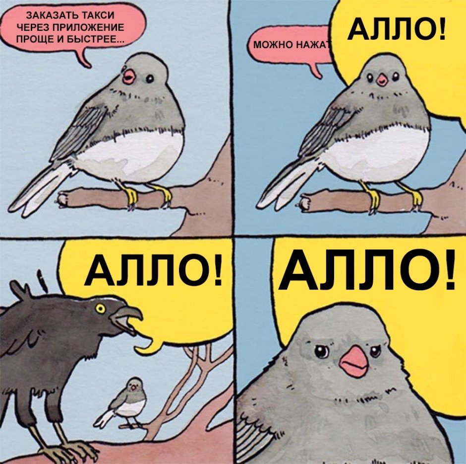 Пухлый голубь