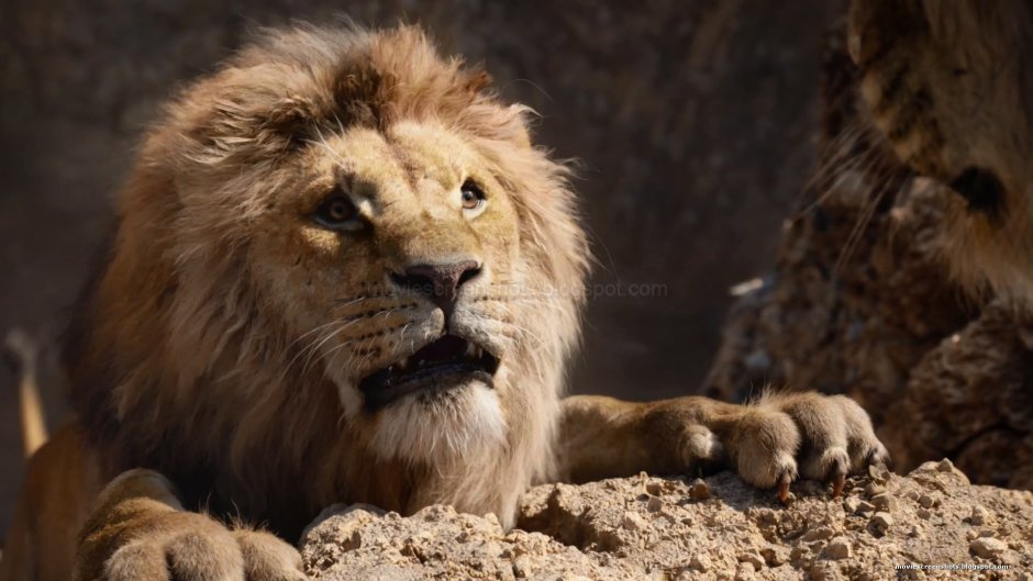 Львы в саванне