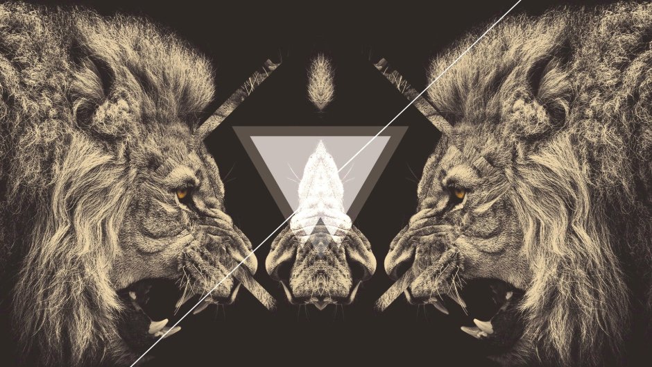 Семейство тигров Львов