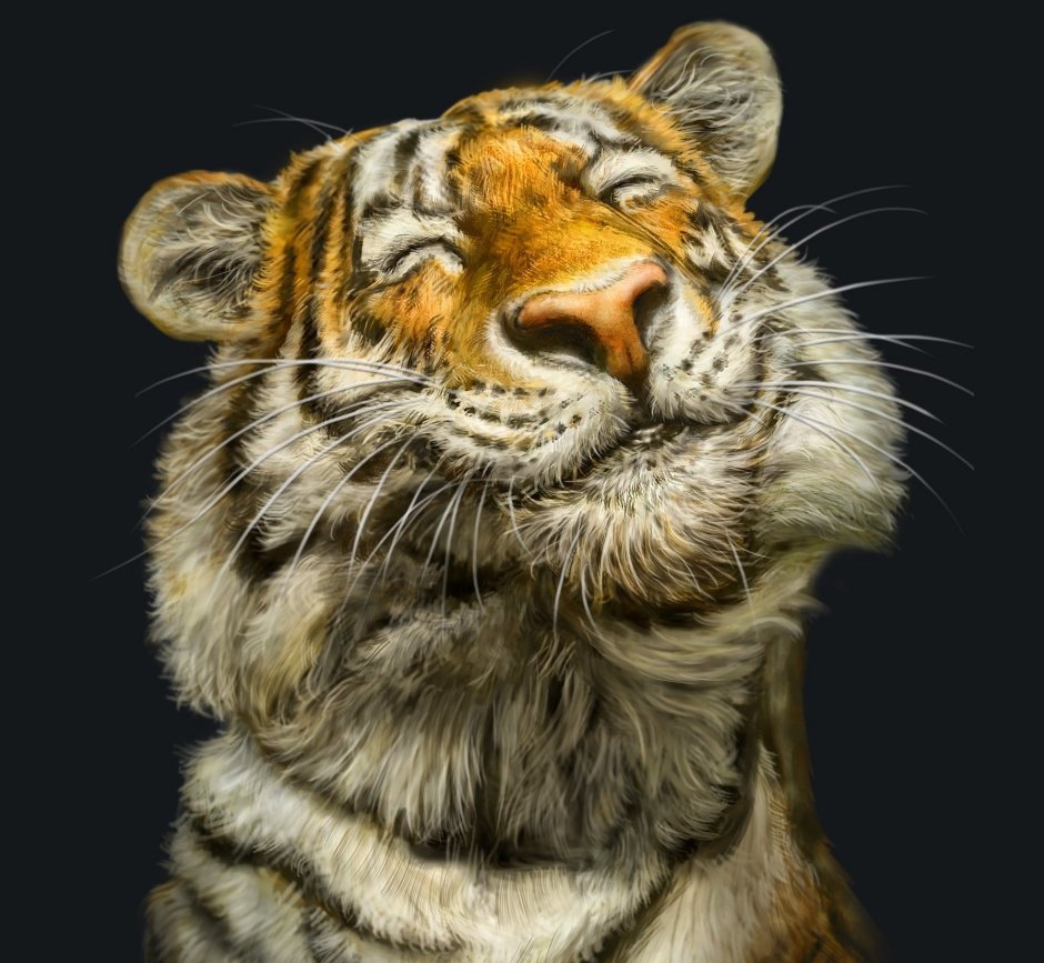 Аватарка животного