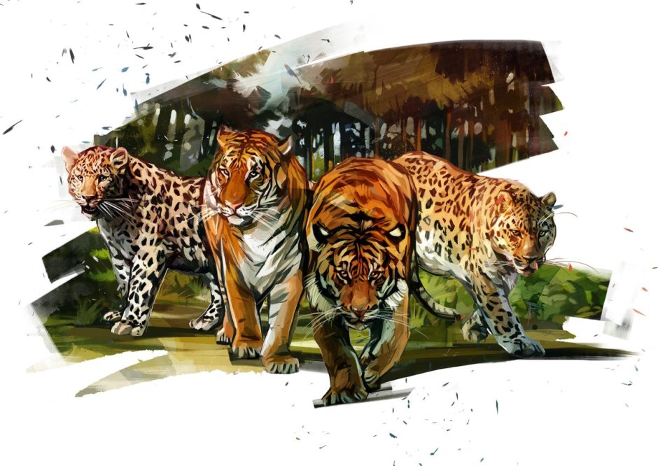 Ягуар Дикая кошка