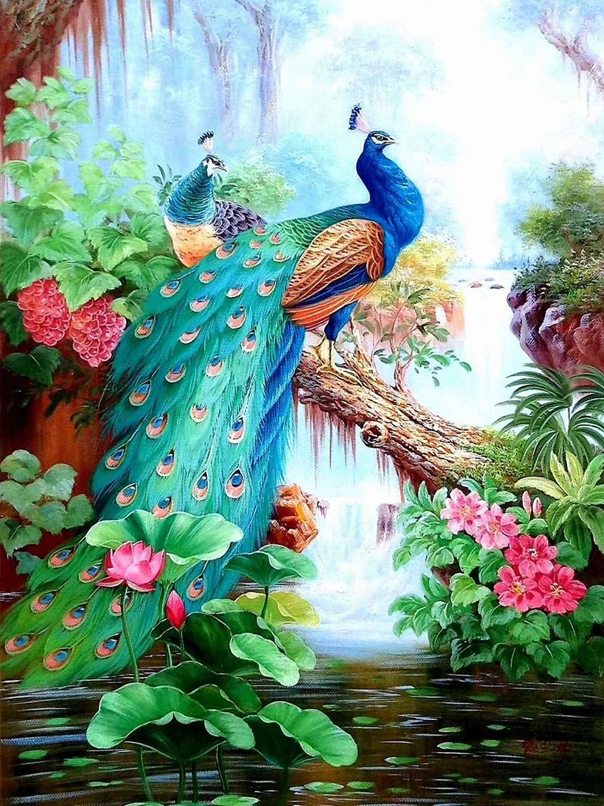 Павлины алмазная мозаика 5 д