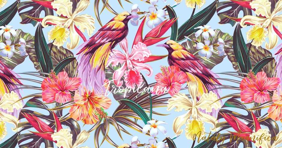 Павлин в саду