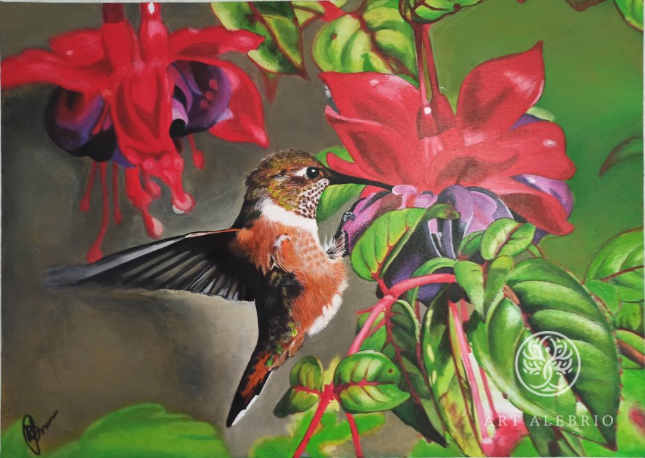 Тропические птицы и цветы