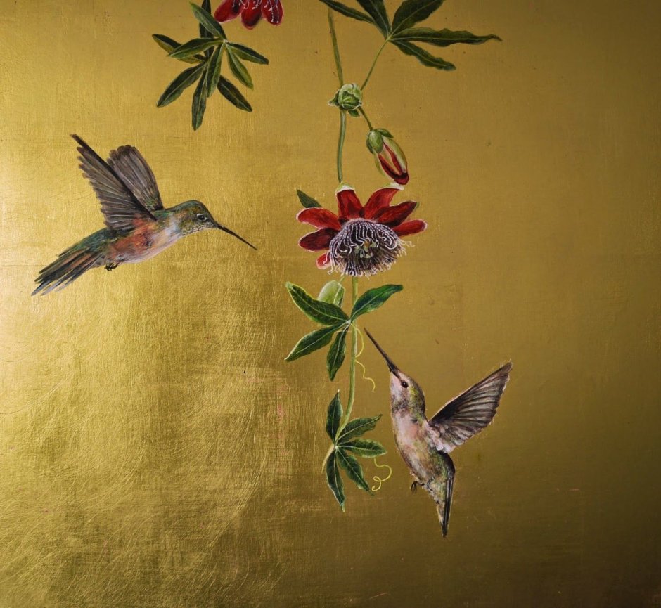 Тропики Райские птицы