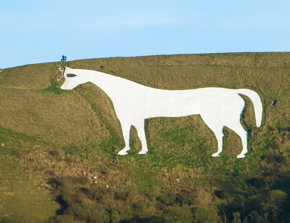 Wiltshire Horse