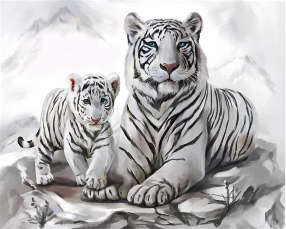 Рисунок белого тигра