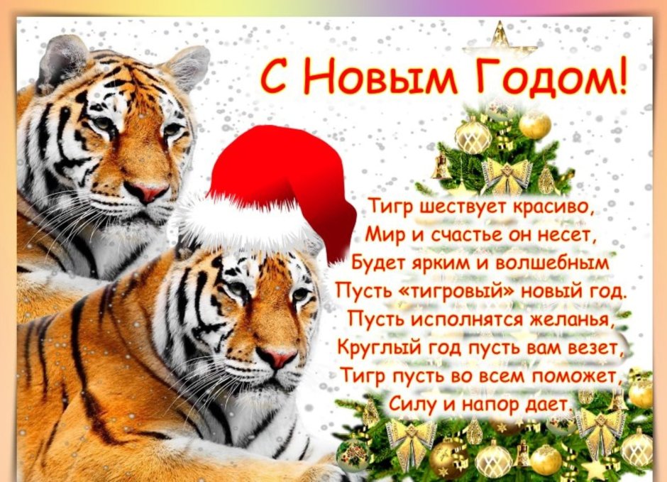 Китайский петух