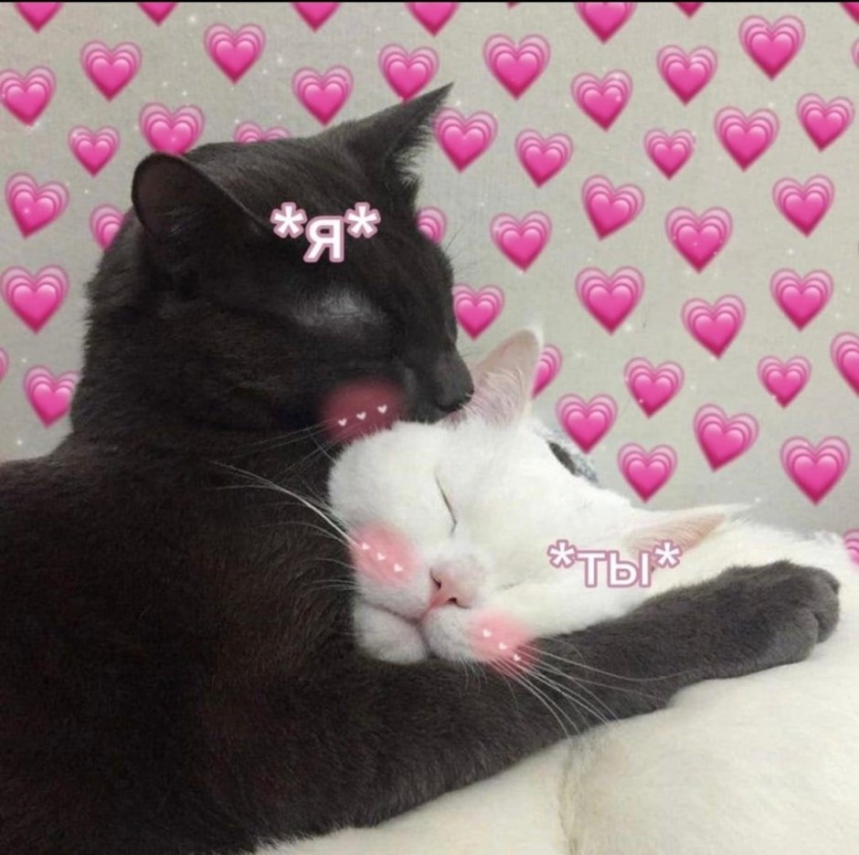 Милый котик с сердечками