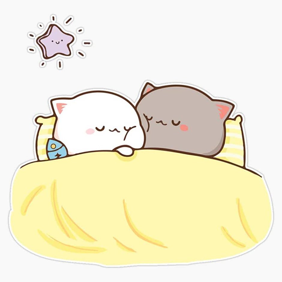 Кавайные котики любовь