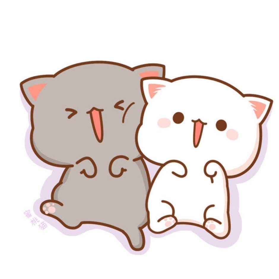 Кавайные котики любовь