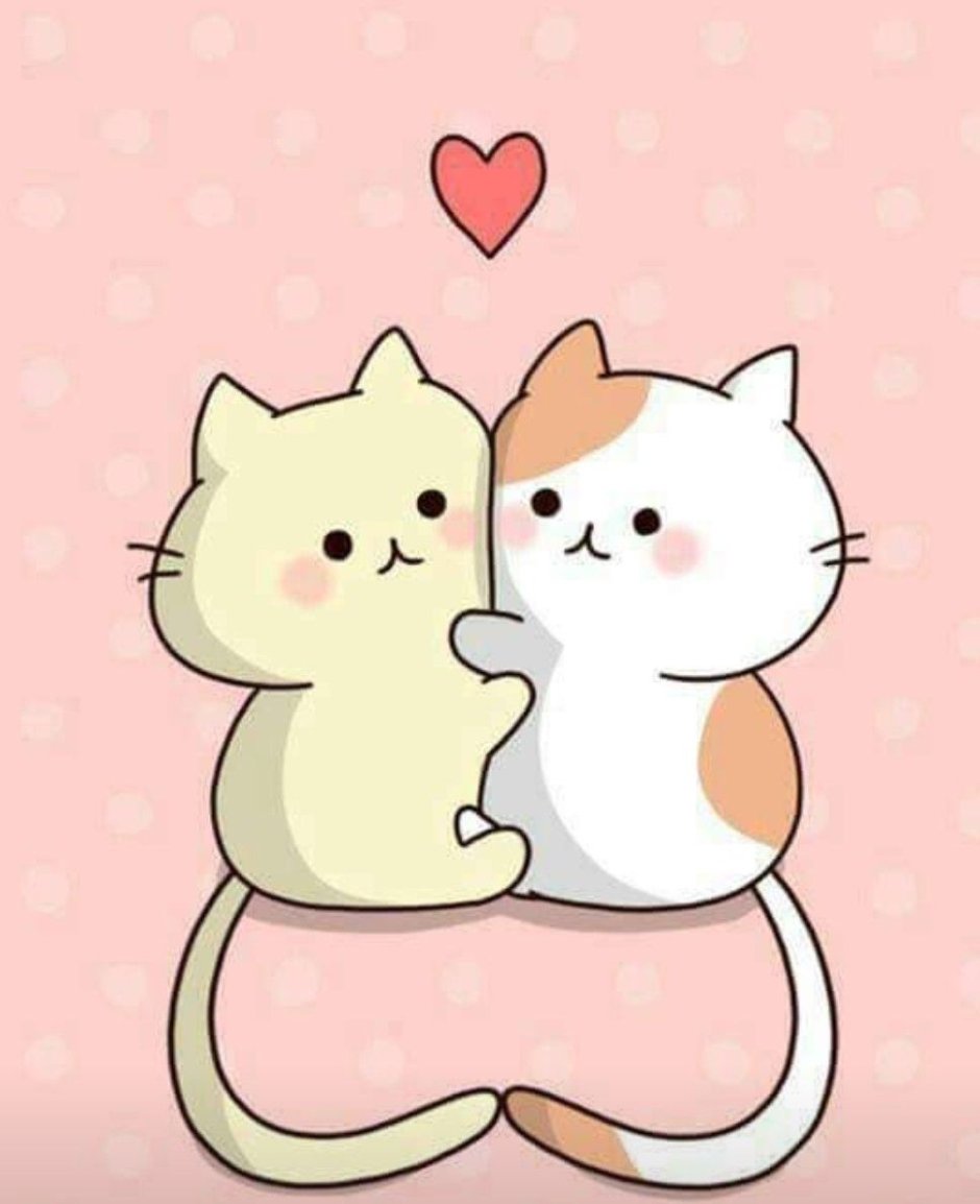 Рисунки для срисовки котики