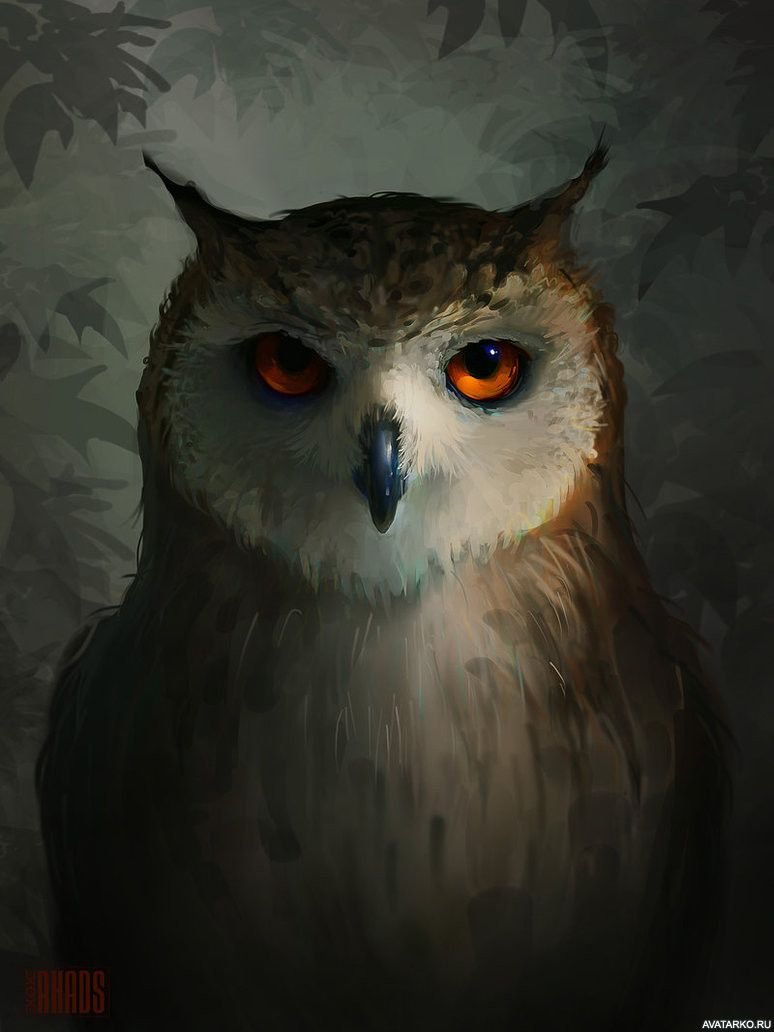 Сова арт