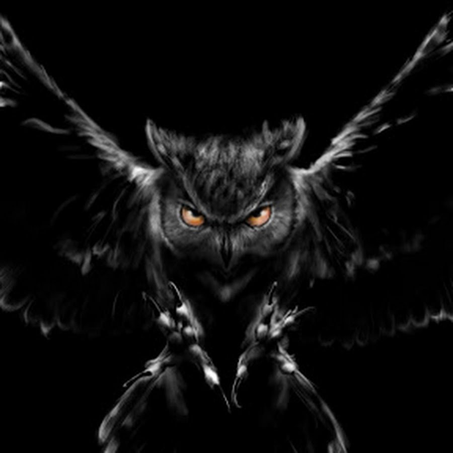 Сова демон арт