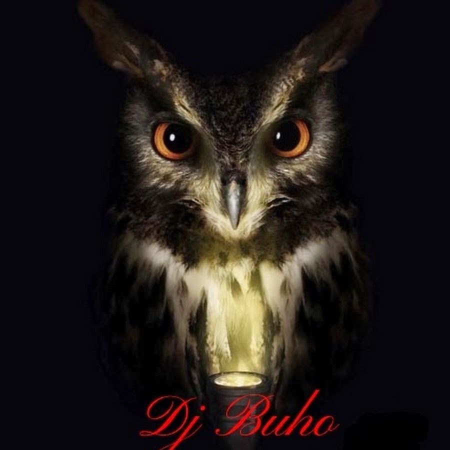 Филин ночью