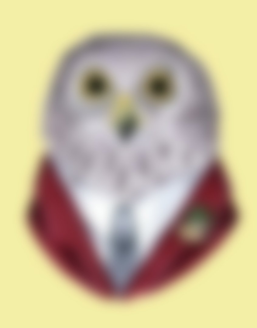 Сова на фоне леса