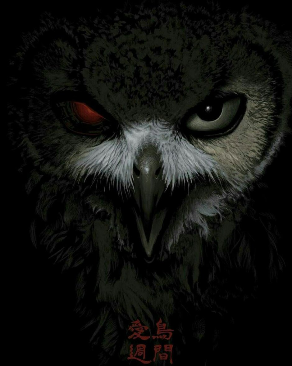 Owl ава