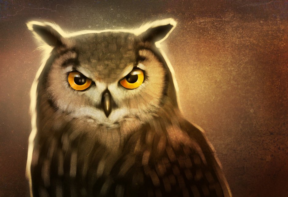 Глаза Совы арт