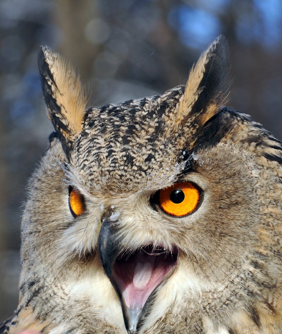 Ты вообще высыпаешься куда высыпаюсь