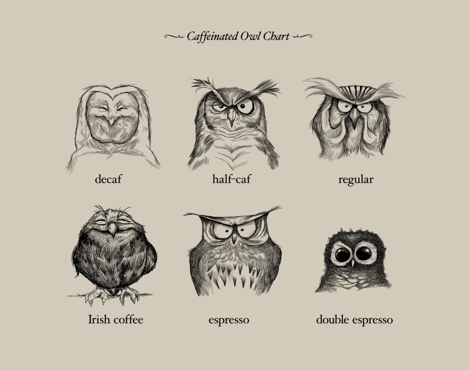 Картинки на рабочий стол Сова