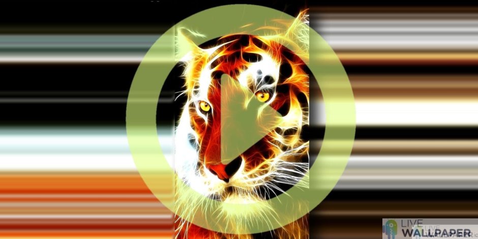 Живые обои тигров