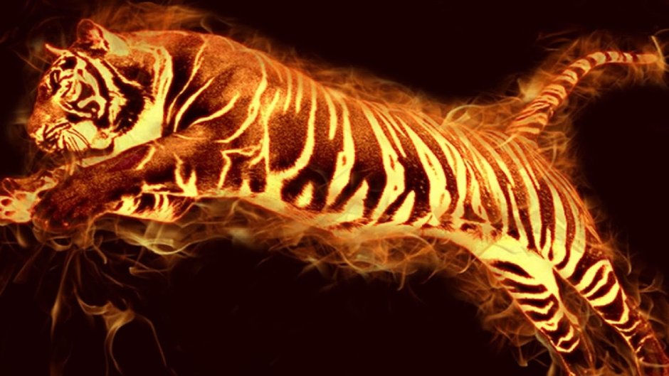 Живые обои на андроид тигр