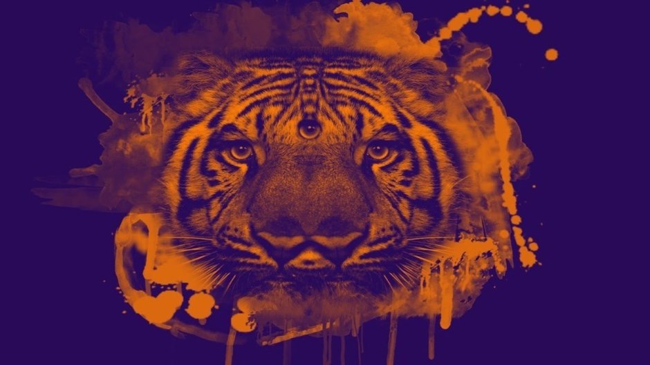 Тигр фоны 9:16