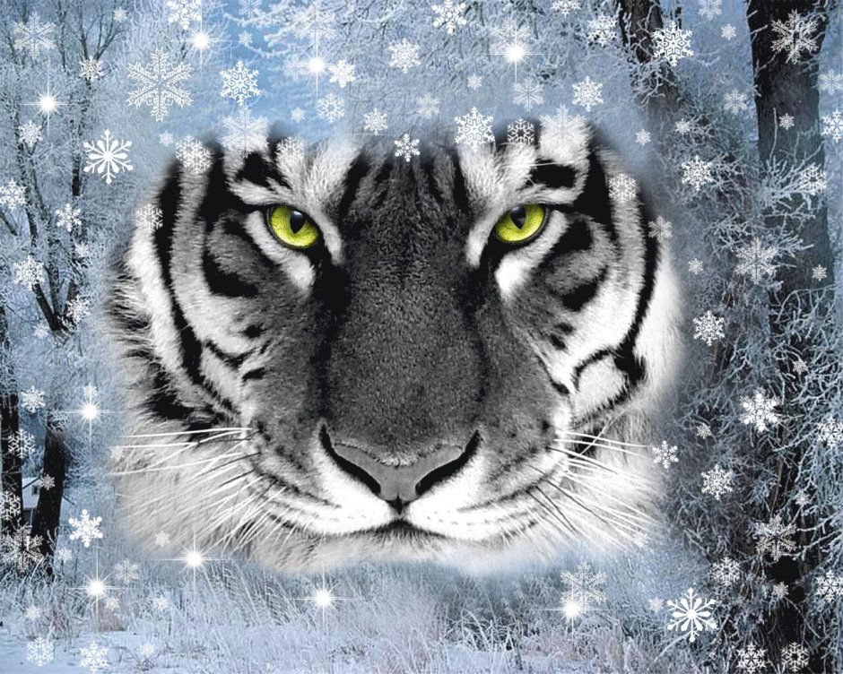 Фотообои тигр