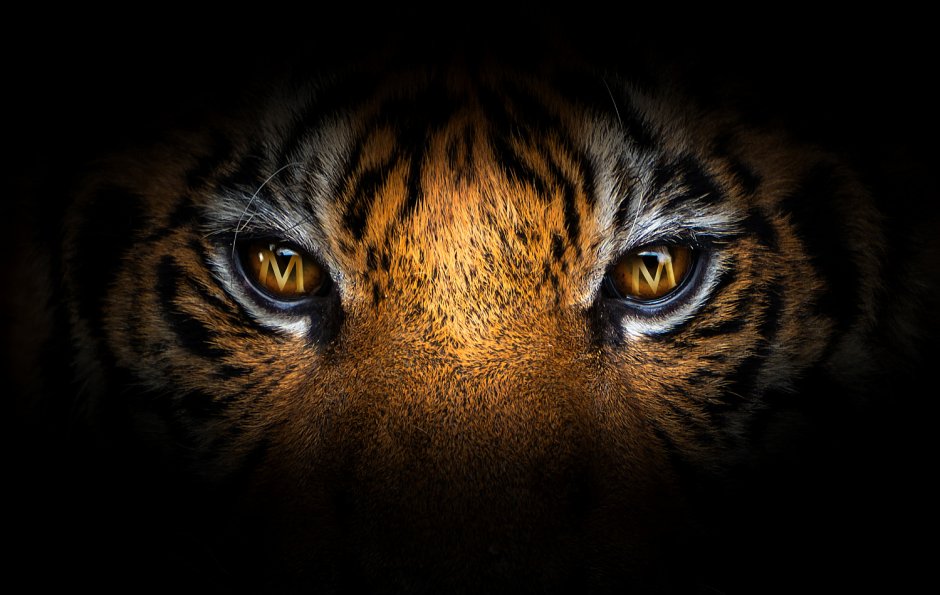 Неоновые картинки на телефон