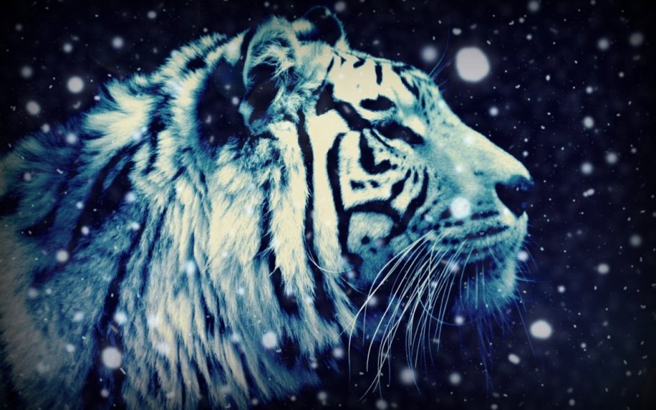 Крутые картинки животных