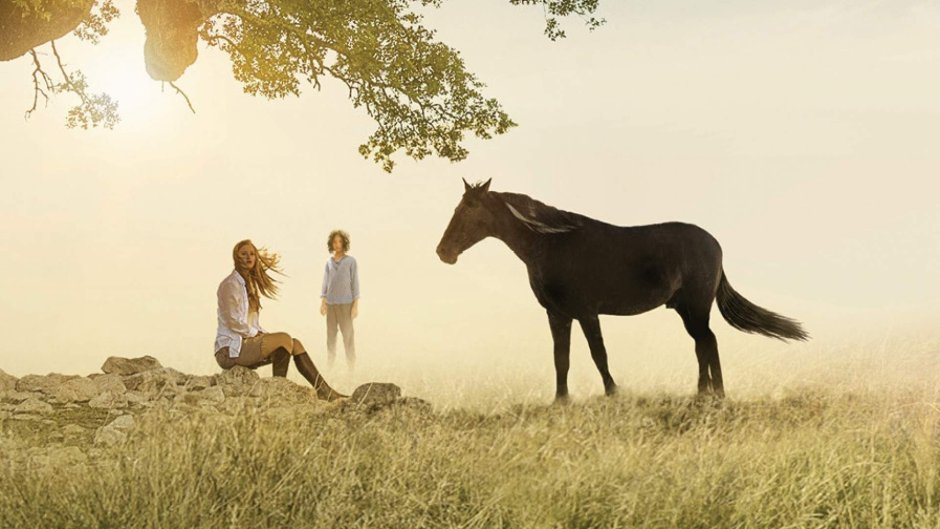 Оствинд фильм про лошадь
