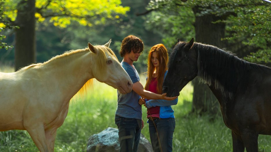 Восточный ветер фильм 2013