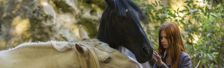 "Восточный ветер" / Ostwind, 2013