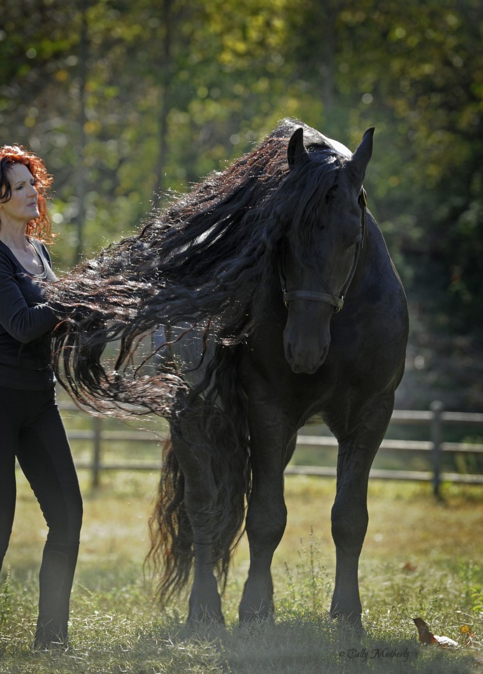 Ханна Бинке Восточный ветер