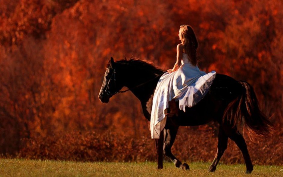 Конь чёрный Оствинд