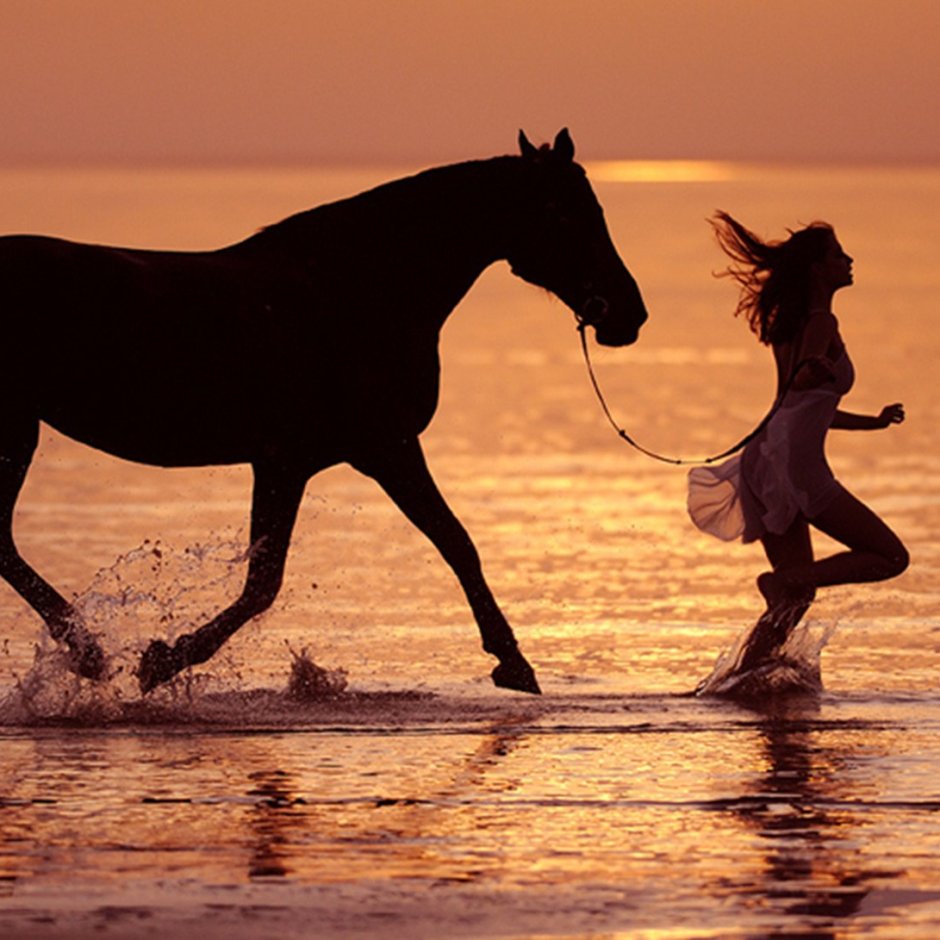 Ostwind/Windstorm игра