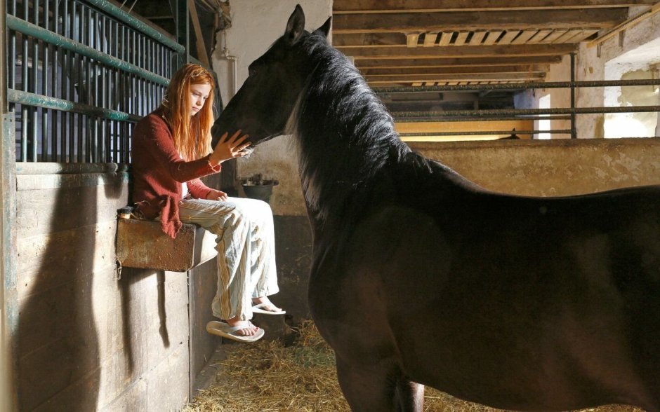 Восточный ветер Мика и Оствинд