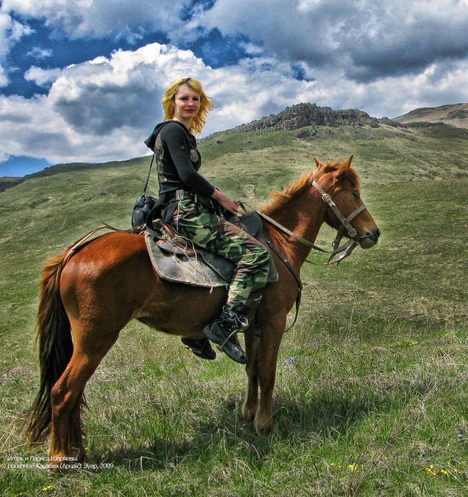 Карабахский гнедой