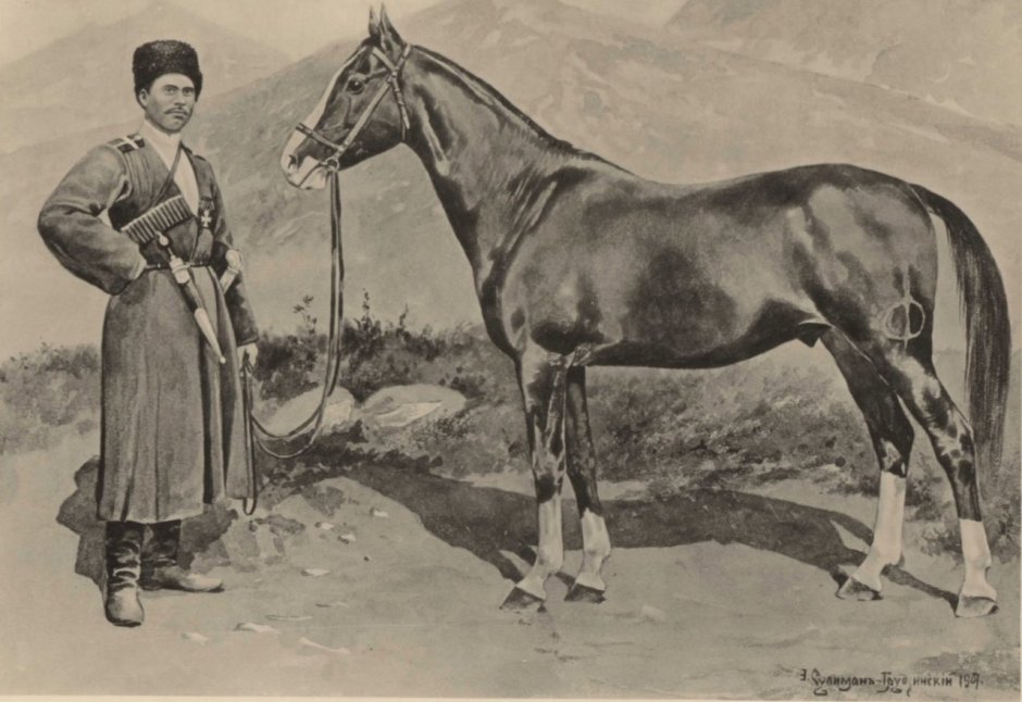 Карабахская лошадь