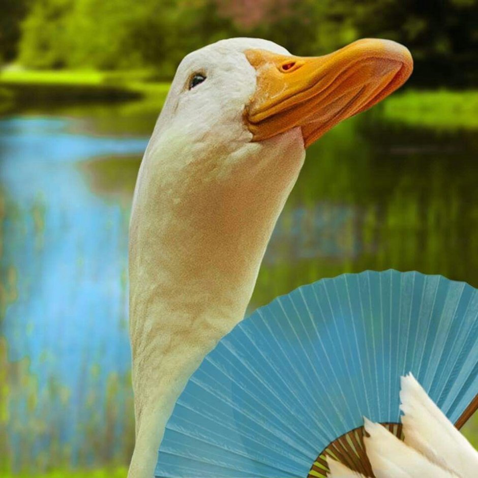 Funny Duck прикольные утки