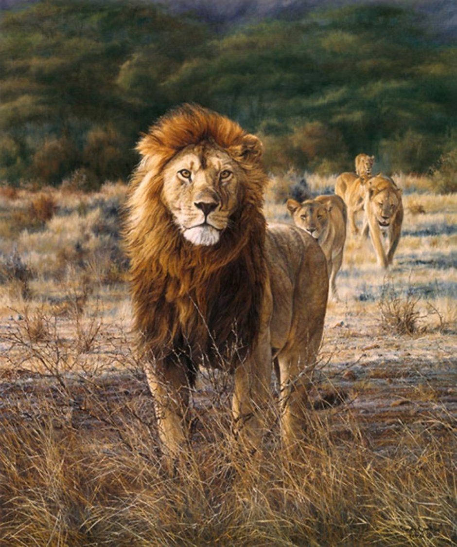 Художник Simon Combes