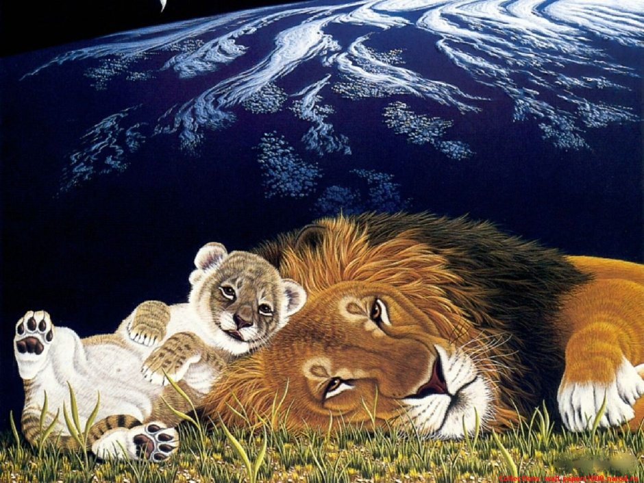 Король Лев фильм 2019