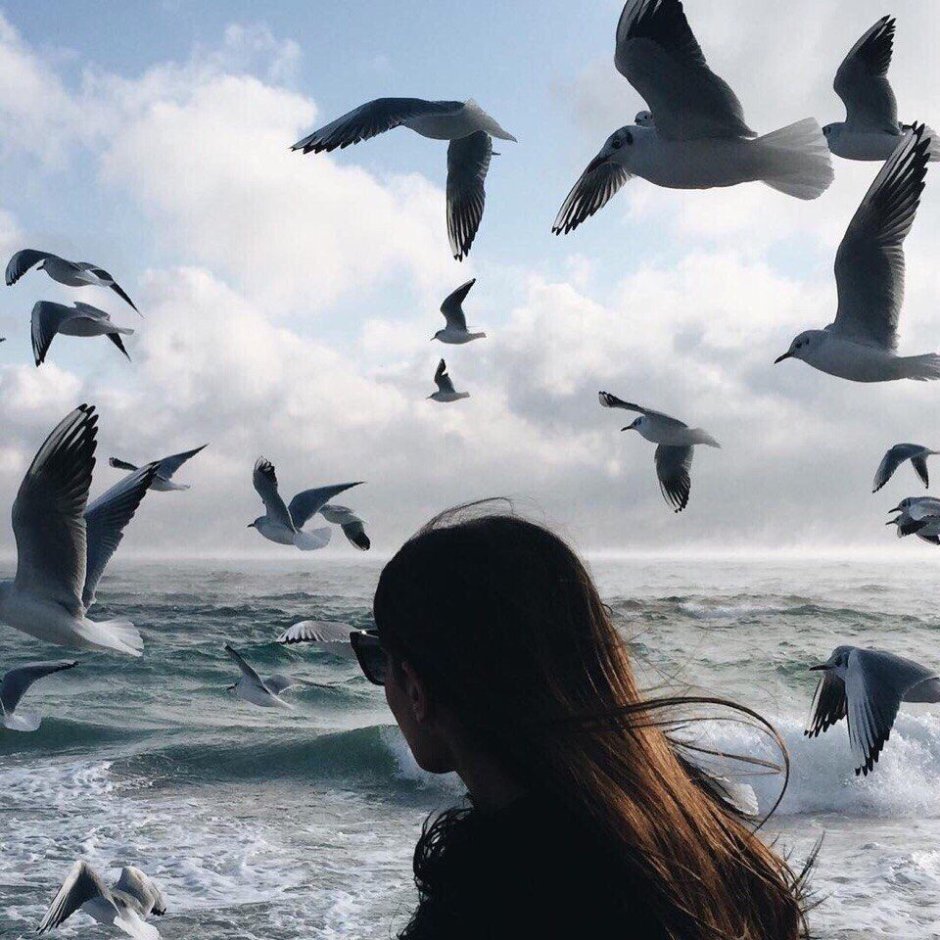 Девушка море Чайки