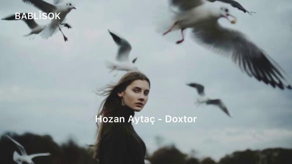 Птицы над головой