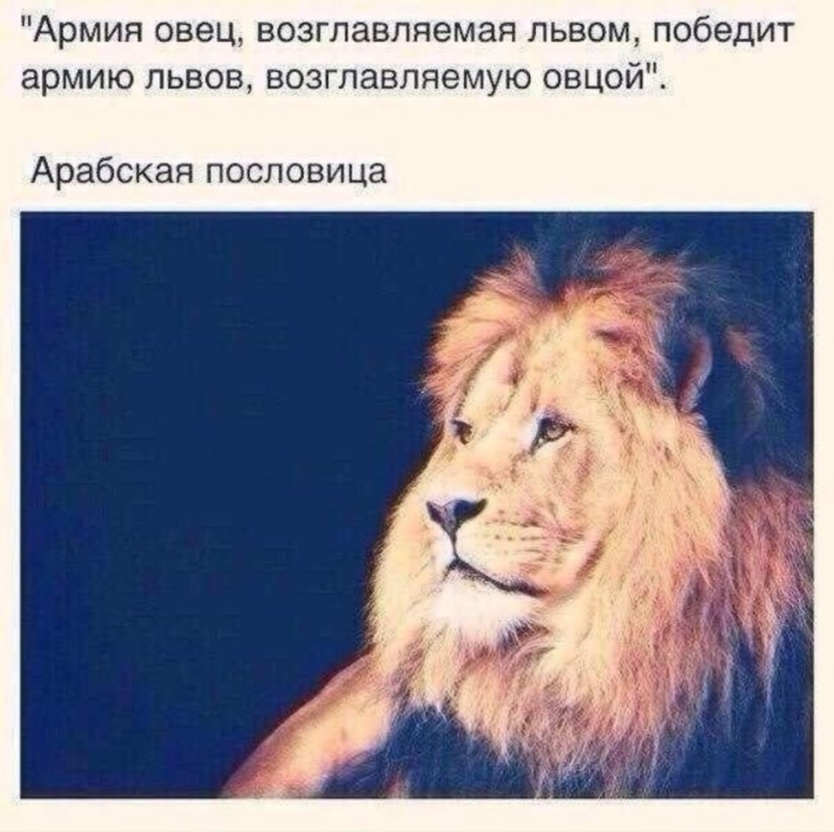 Статусы со львами