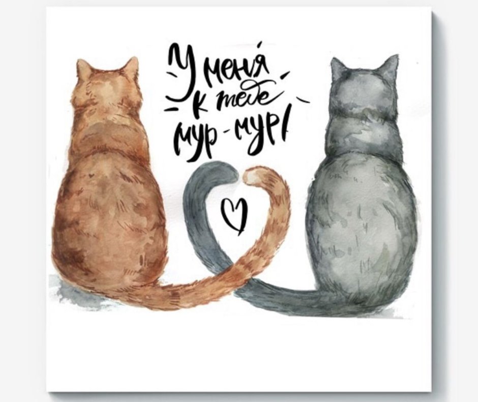 Котик Мур Мур