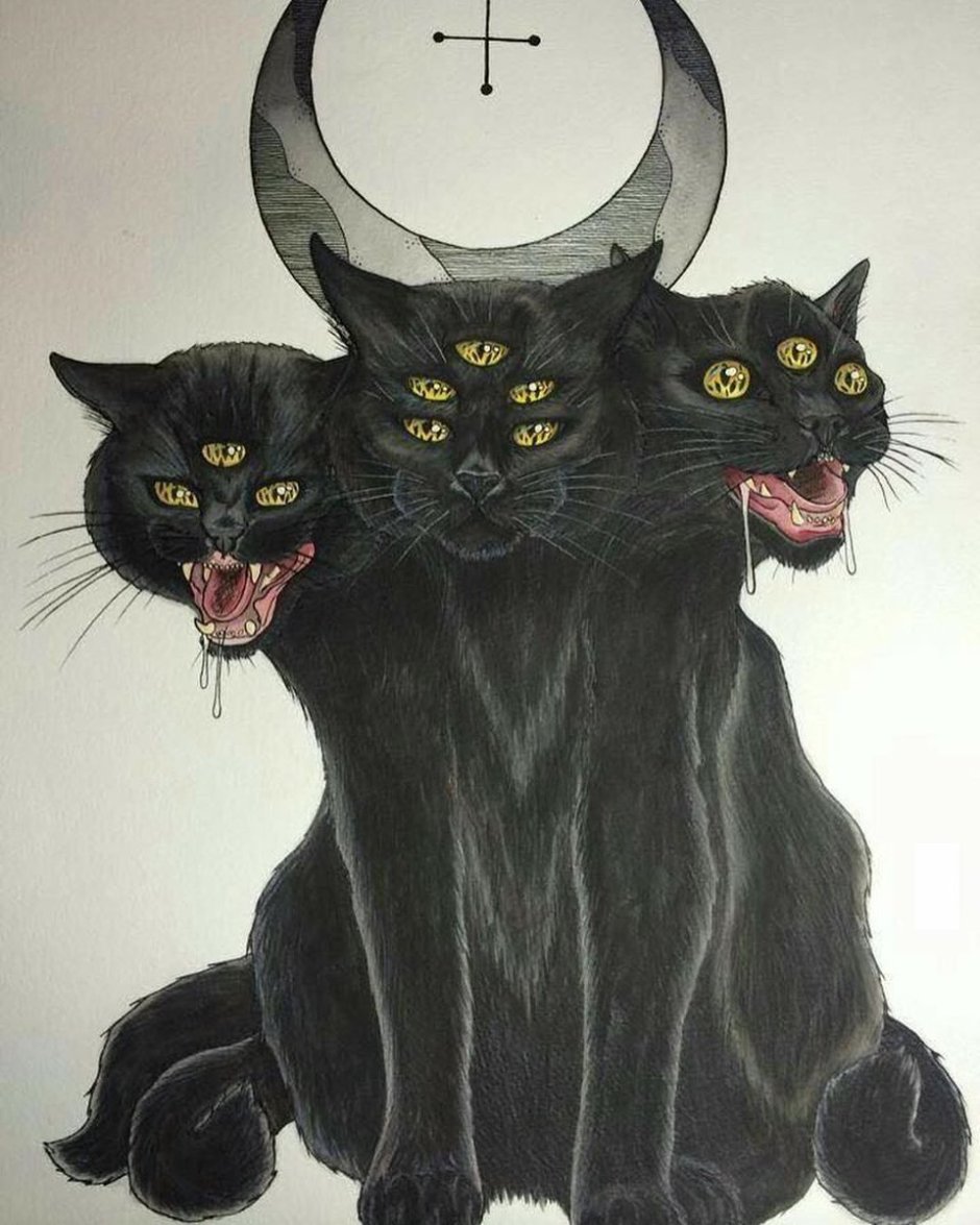 Трехглазая кошка