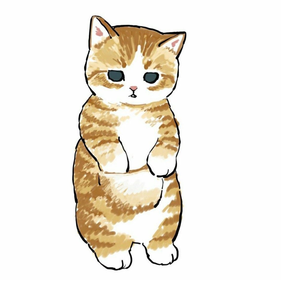 Как том Кэт котик